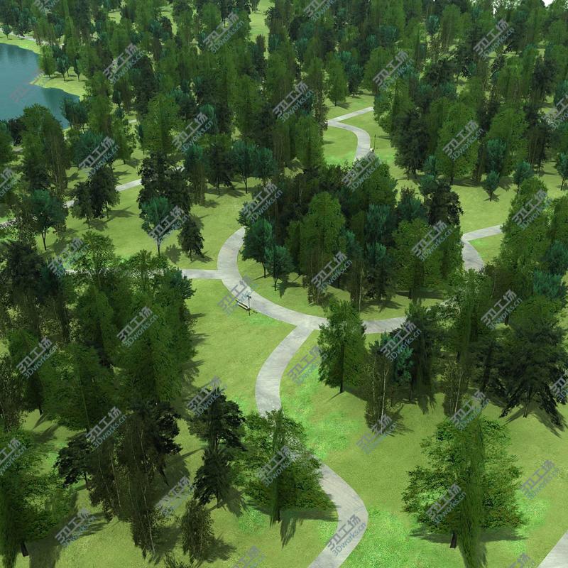 images/goods_img/2021040232/Forest Park Pond Trees/5.jpg